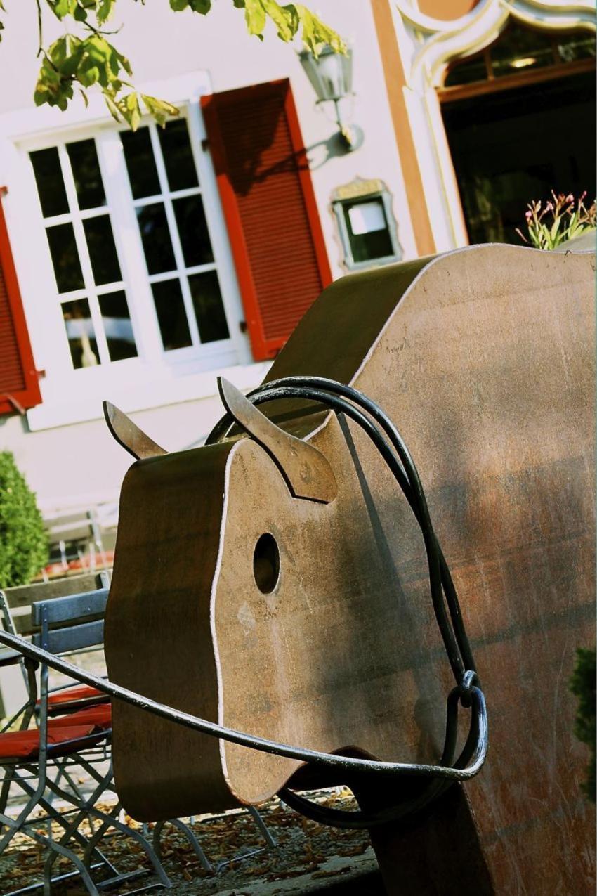 Ox Hotel Heitersheim Exteriér fotografie