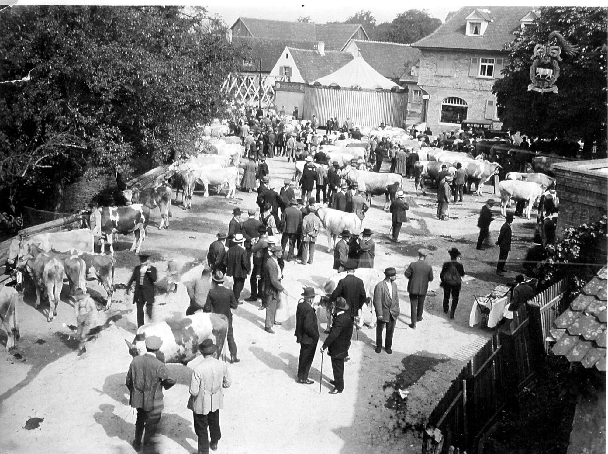 Ox Hotel Heitersheim Exteriér fotografie